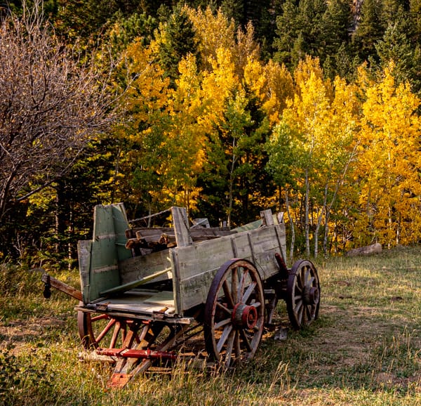 Landscape Photography