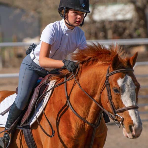 Equestrian Photography