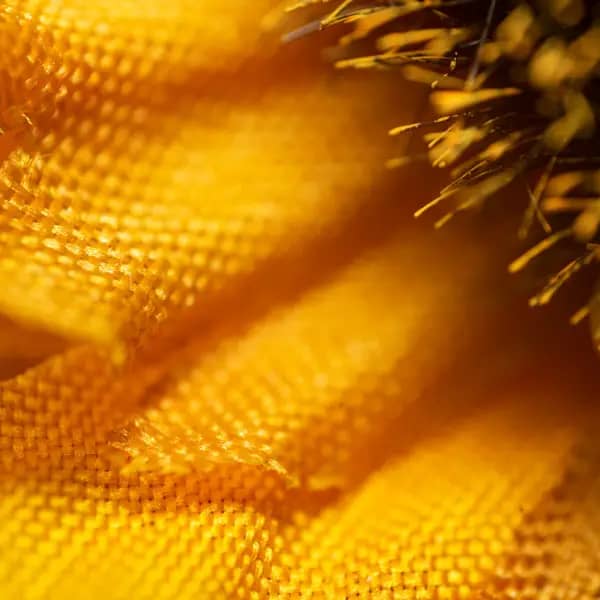 Yellow fabric flower