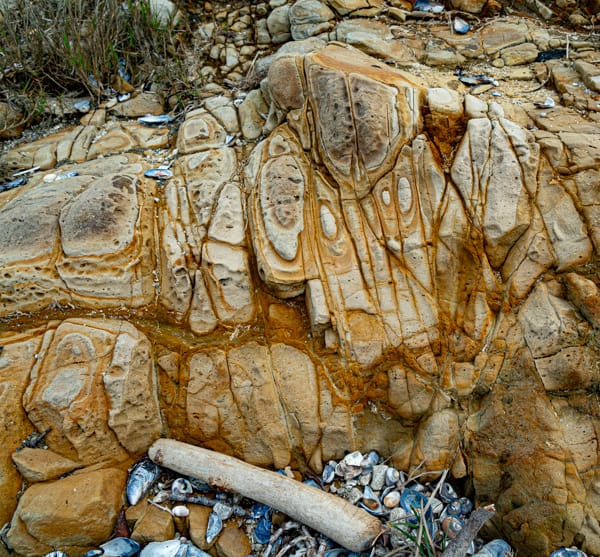 Rocks and Shells, CA