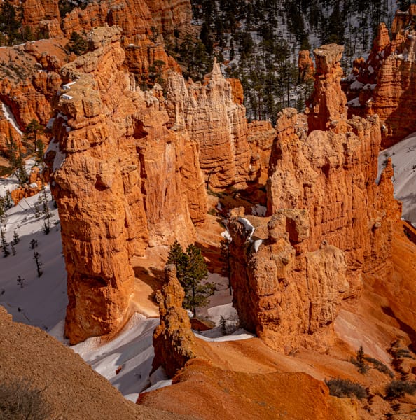 Pinnacles - Bryce, UT