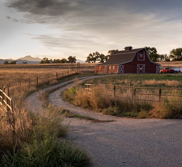 Driveway to the red barn